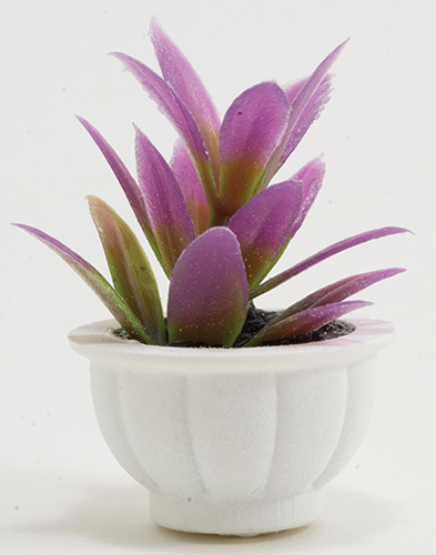 Purple Plant in White Pot